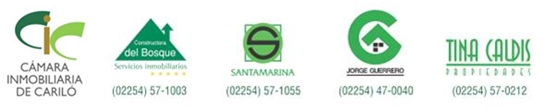 logos dia del medio ambiente en carilo