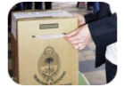 eleccion pinamar