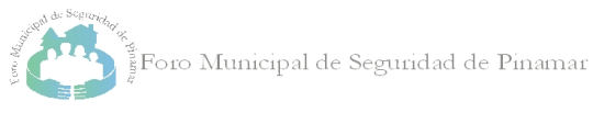 foro seguridad