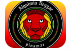 alquimia reggae pinamar