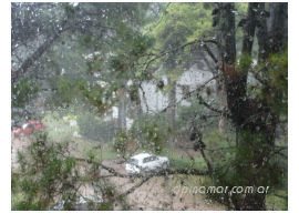 alerta lluvias