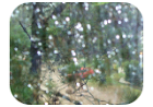 lluvia