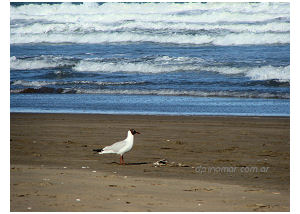 costa, playa y mar