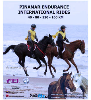 endurance