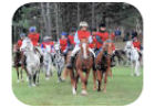 endurance