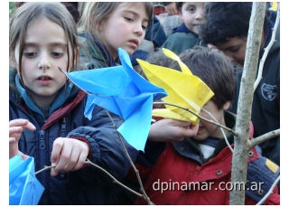 plantan de arbol por la paz