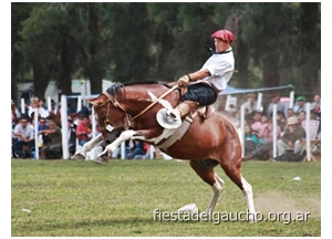 jineteada en fiesta del gaucho