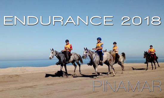 endurance 2018