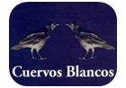 pinamar biblioteca cuervos blancos