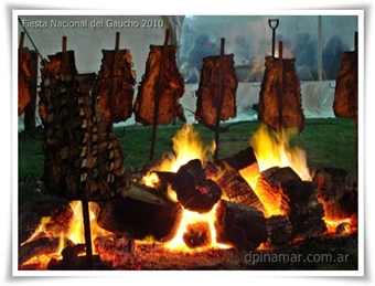 fogones
