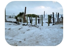 nieve en pinamar