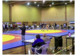 lucha cenard