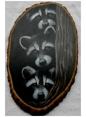 mapaches