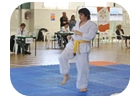 Taekwondo