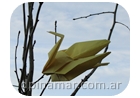 arbol de la esperanza tierras del sur