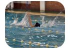 escuela de natacion municipal