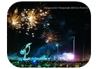 fuegos 2014