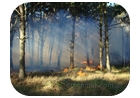 incendio