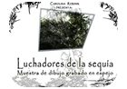 muestra de dibujo