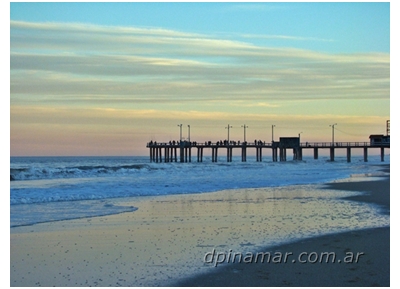 muelle