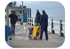 muelle