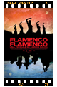 pantalla pinamar 2011 flamenco