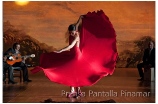 pantalla pinamar 2011 flamenco