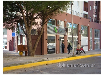 anses pinamar