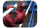 boxeo