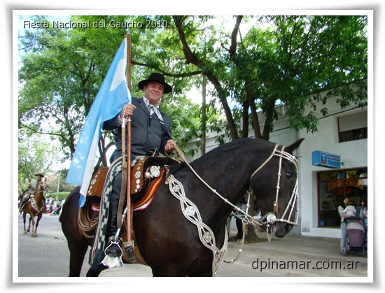 fiesta nacional del gaucho 2014