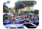 carilo pinamar