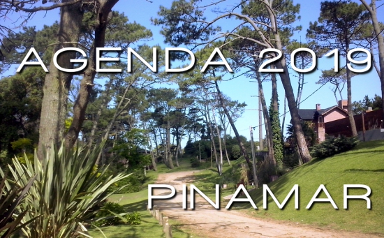 agenda pinamar