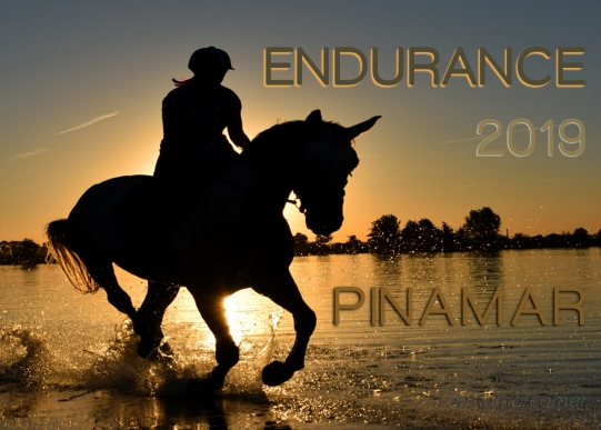 endurance 2019